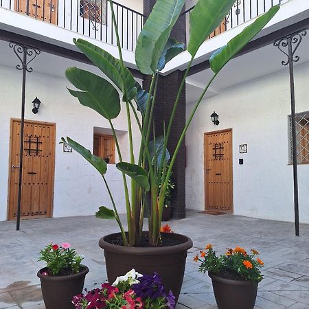 Suite San Mateos 15 Jerez de la Frontera Eksteriør bilde
