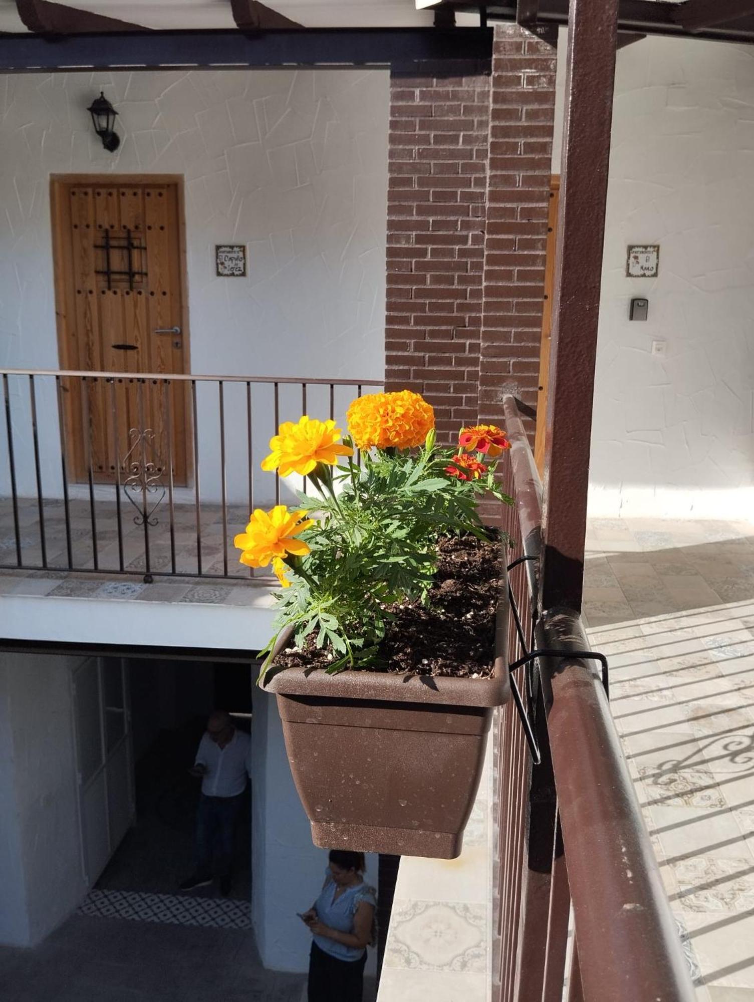 Suite San Mateos 15 Jerez de la Frontera Eksteriør bilde
