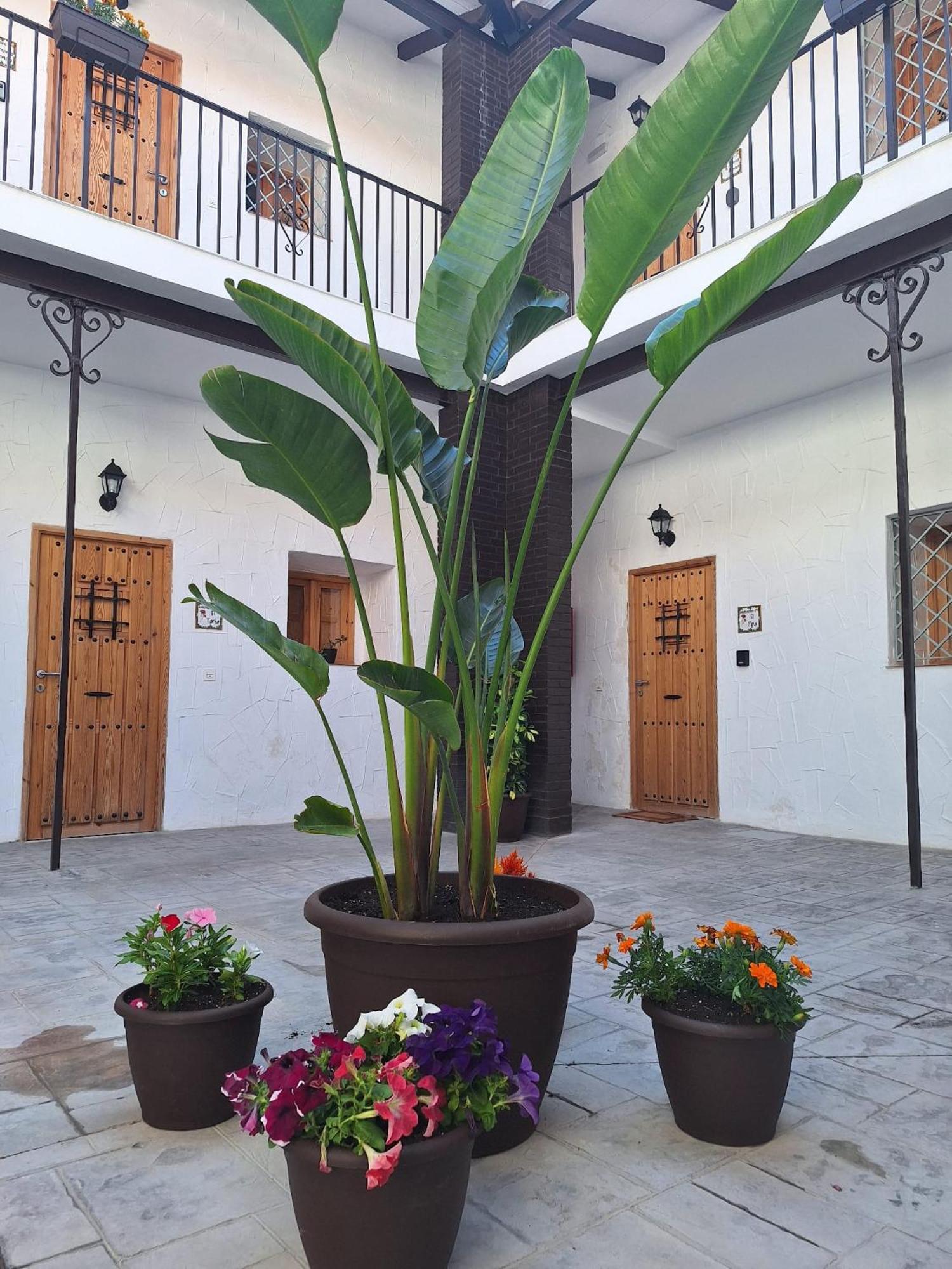 Suite San Mateos 15 Jerez de la Frontera Eksteriør bilde